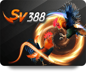 33WIN Xổ Số May Mắn – Bí Quyết Đổi Đời